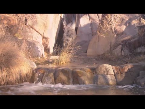 Madera Canyon in southern Arizona is hikers&#039; paradise