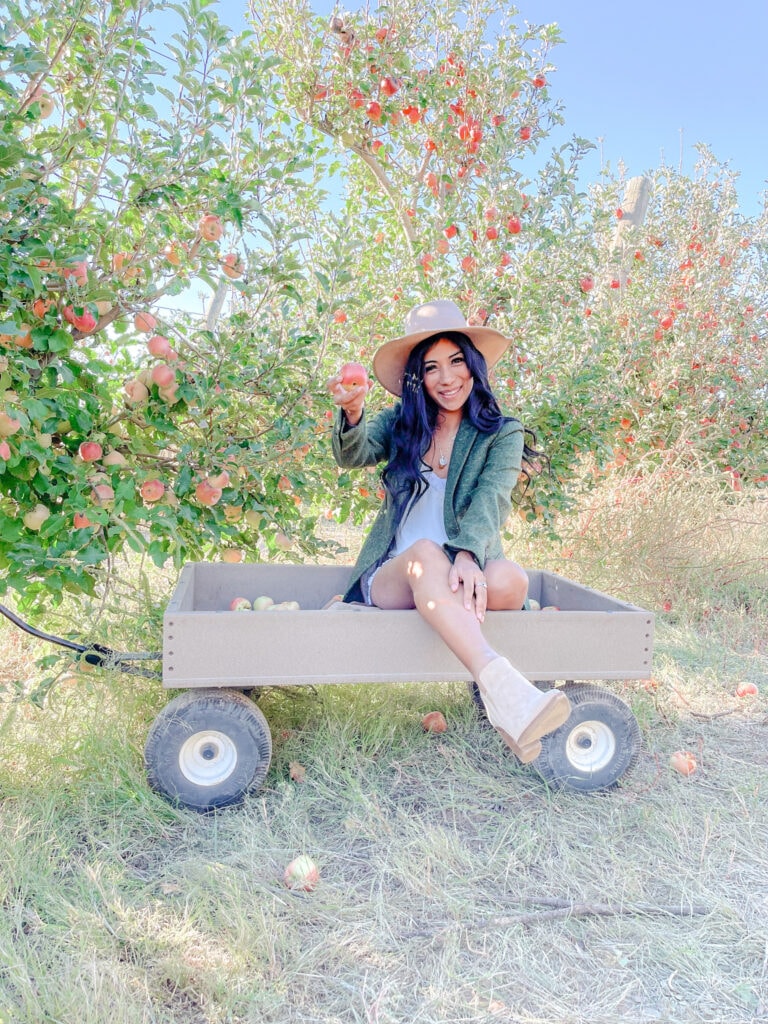 apple picking at apple annies orchard in a pull wagon