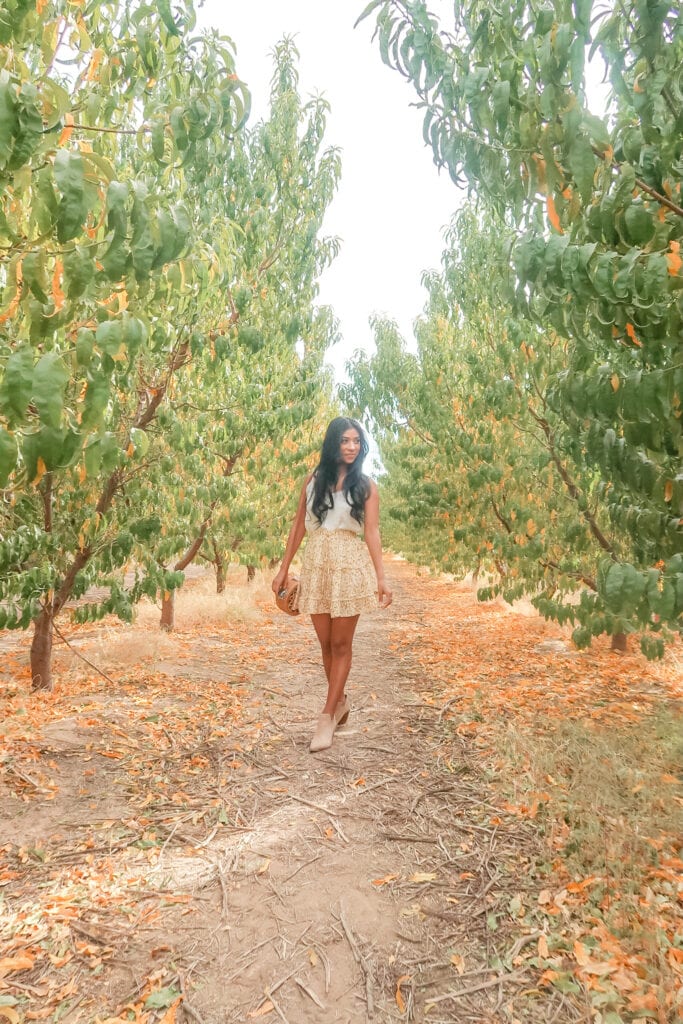 standing in an orchard of apples in arizona, apple annie's orchard