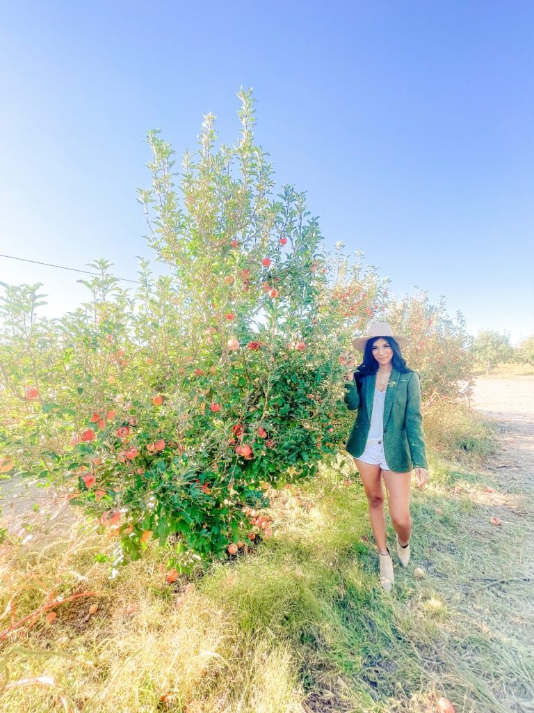 The Ultimate Arizona Fall Destination: Apple Annie’s Orchard in Willcoz, AZ