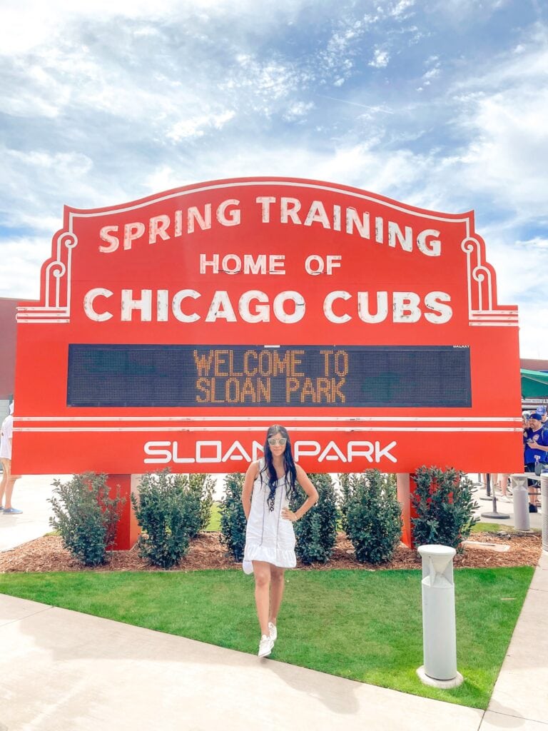 chicago cubs spring training