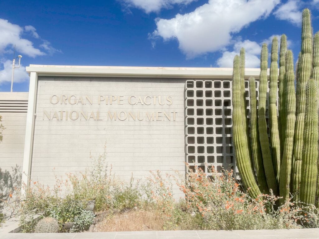 organ pipe cactus national monument