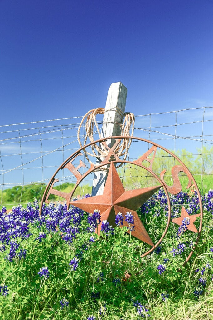 texas sign in a field of bluebonnets - is texas considered the south